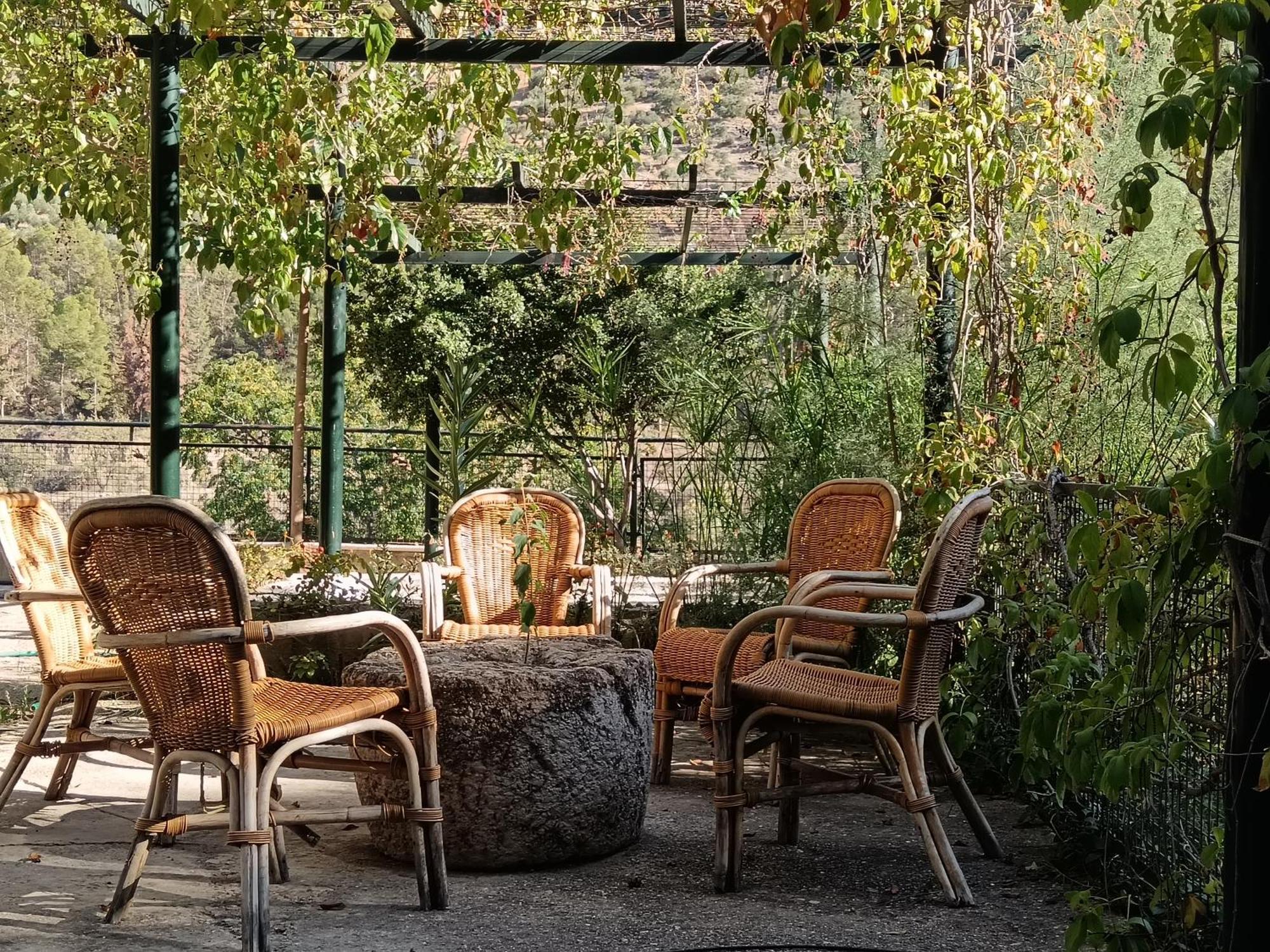 Cortijo El Cercadillo Guest House Bedmar y Garciez Exterior photo